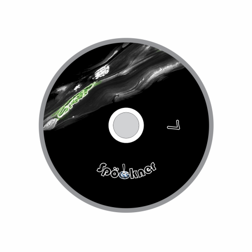 Spöckner "Lawinchen / grün schwarz" Eisstock